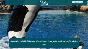 حقيقة مثيرة: هل فعلاً هاجم حوت الأوركا الفتاة جيسيكا؟ اكتشف التفاصيل الآن!